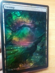 Swamp #13 Foil Extended